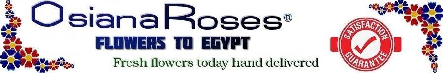 Egypt florist, Send flowers Alexandria, Cairo, Portsaid